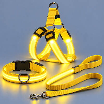 PetGlow™ LED Pet Night Walk Kit